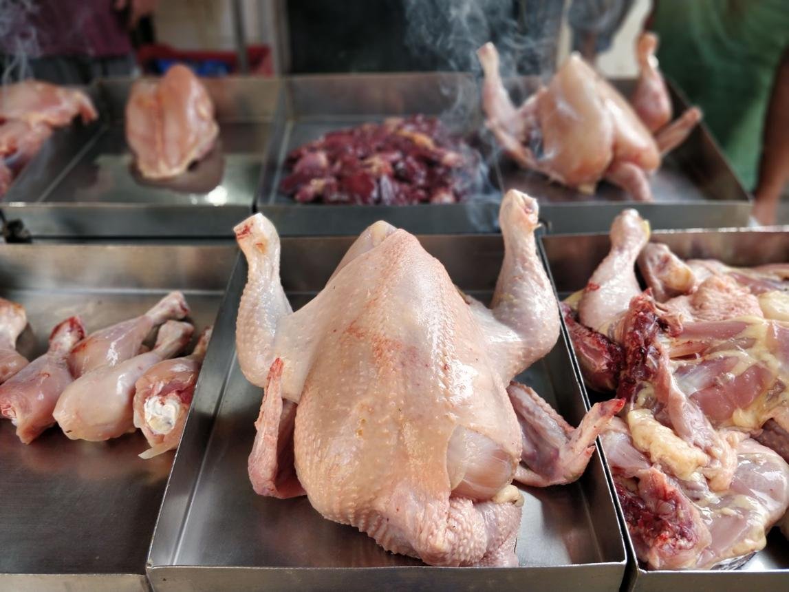 Chicken