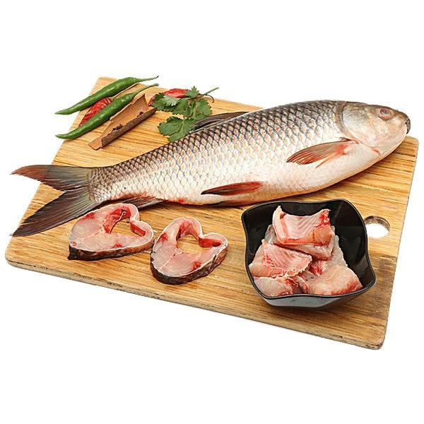 Fish
